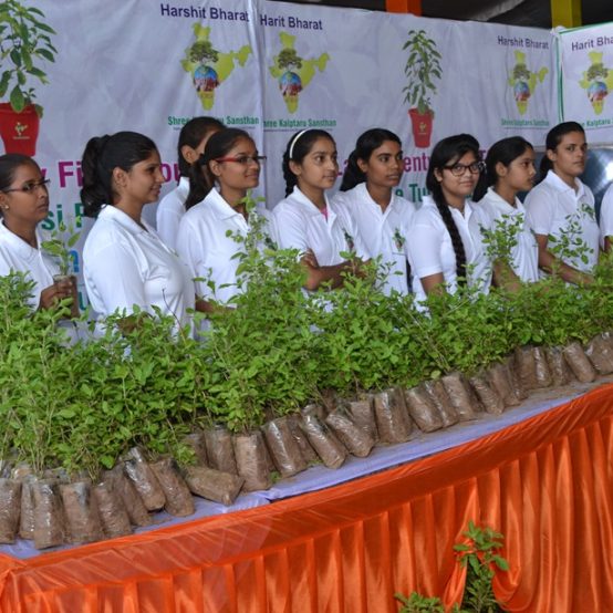 11 Lakh Tulasi