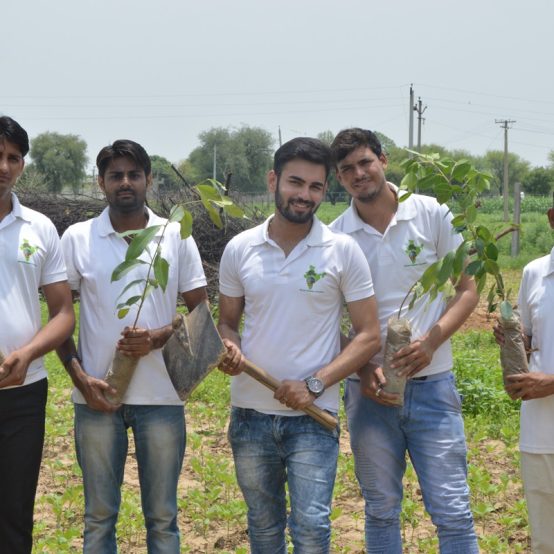 69 Lake Tree Plantation