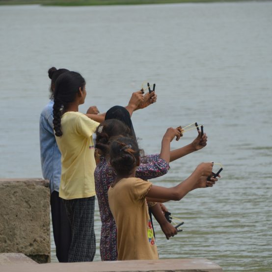 Kamal Tree Pond