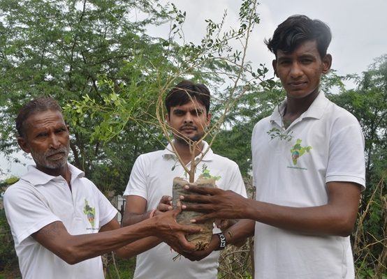 Rare Plant, Birds and Animals Saving