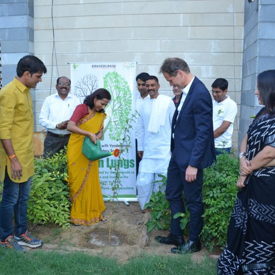 One Crocre Tree Plantation 30 years