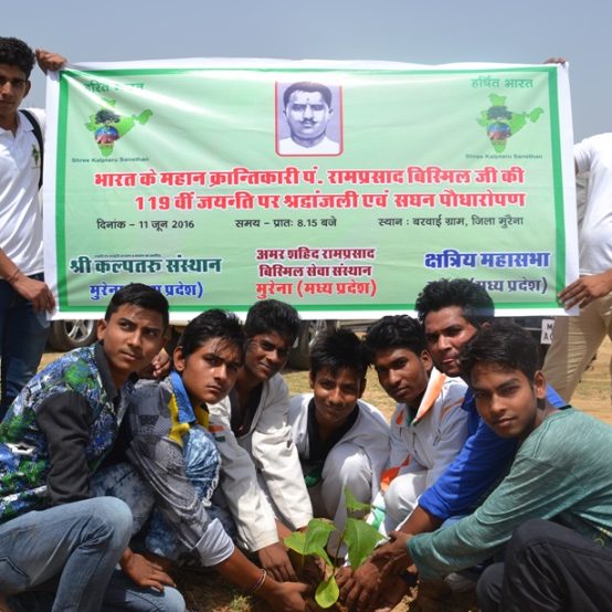 Freedom Fighter Faimly Plantation